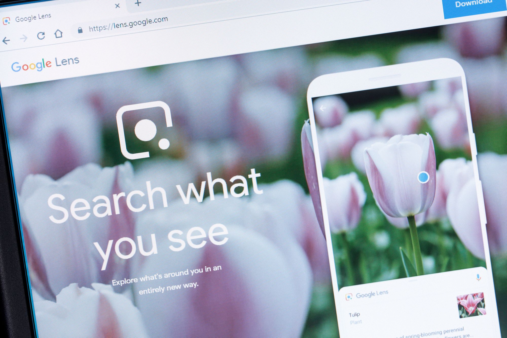 Лучшие приложения для распознавания объектов