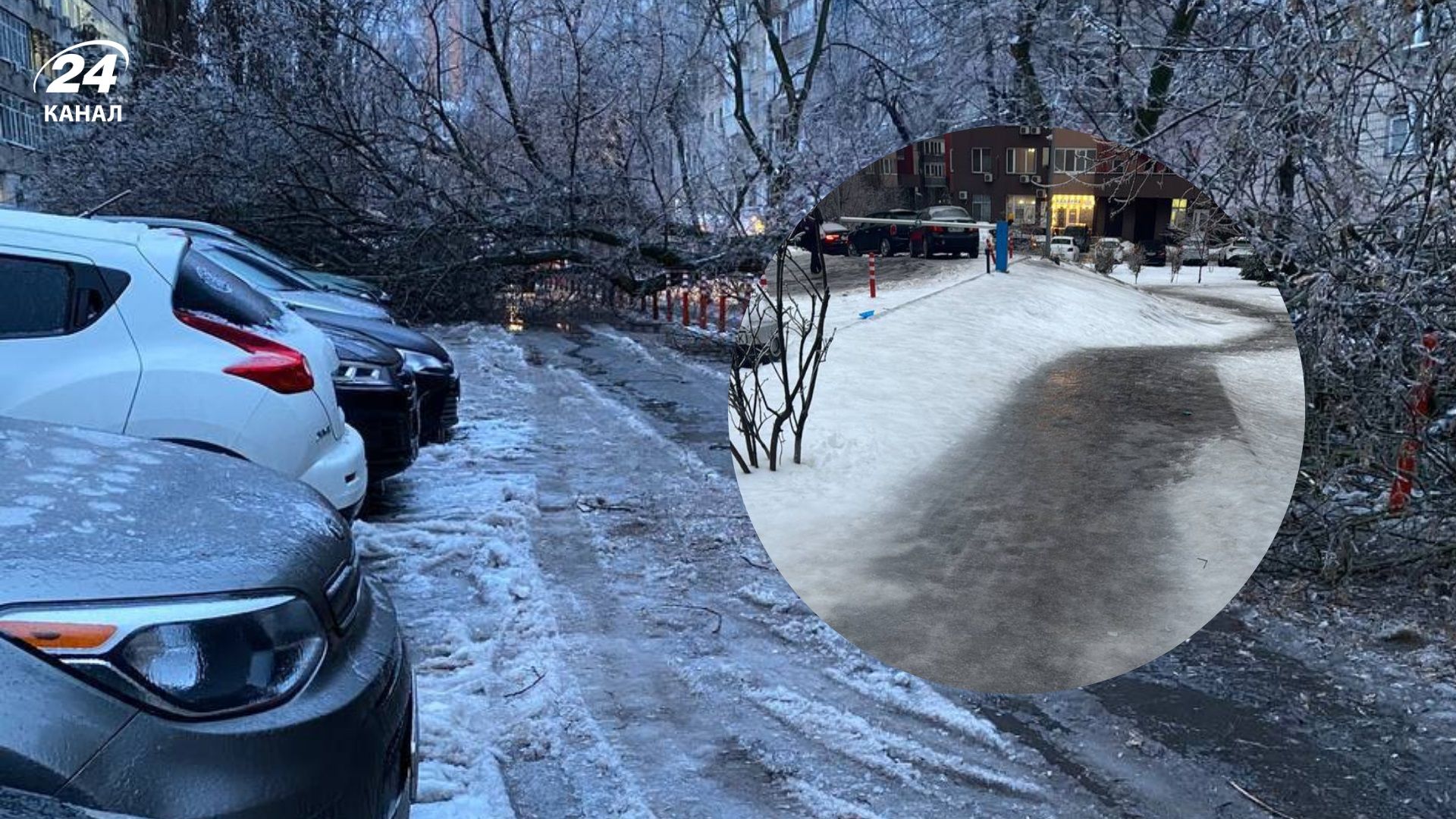 Крижаний апокаліпсис у Києві: падають дерева, обледенілі дроти та ковзанка під ногами - 24 Канал Крижаний апокаліпсис у Києві: падають дерева, обледенілі дроти та ковзанка під ногами - 24 Канал