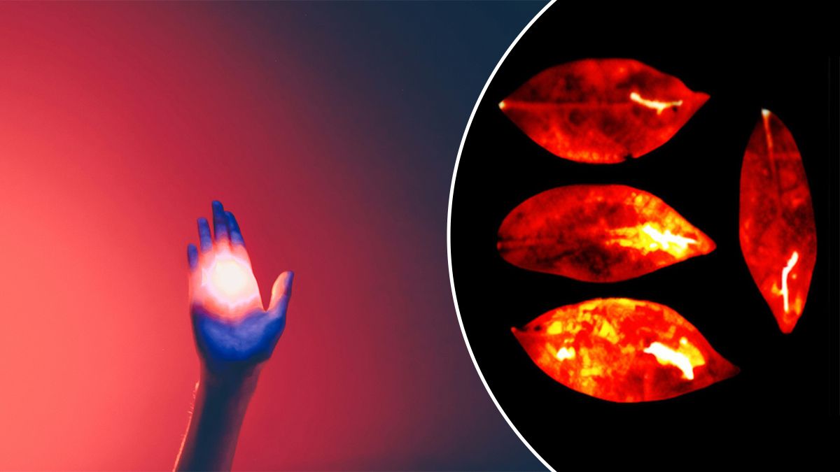 Жизнь светится призрачным светом, но она исчезает после смерти Жизнь светится призрачным светом, но она исчезает после смерти