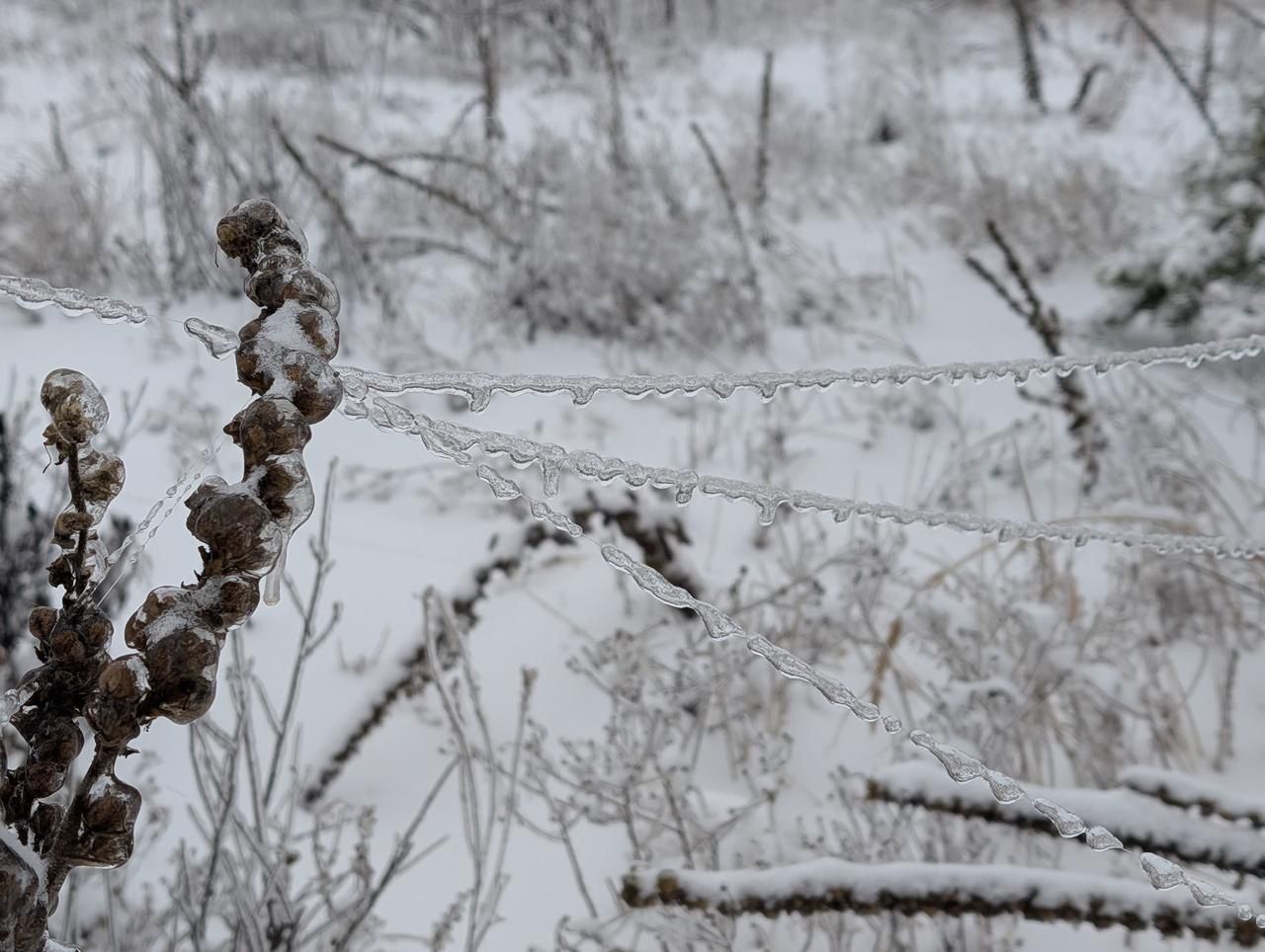 Морозы в Украине - как они повлияли на учебные полеты дронов