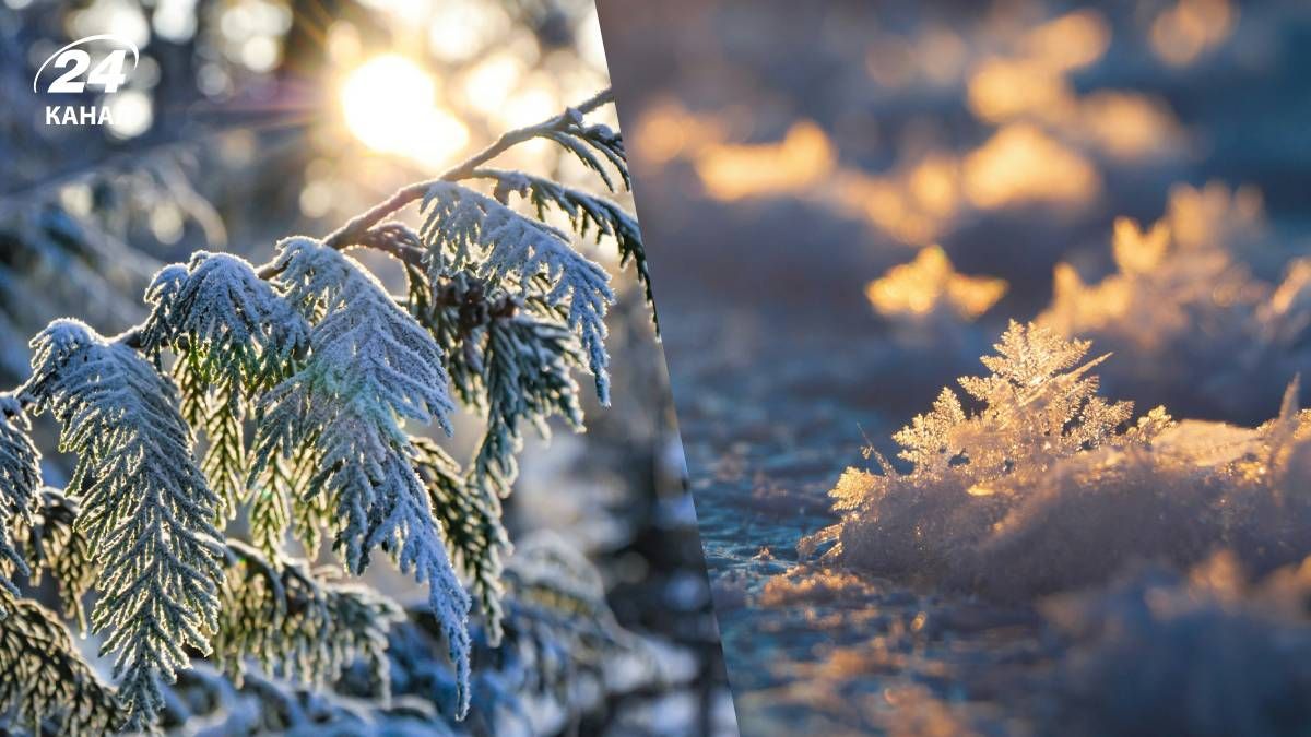 Ослабление морозов возможно уже на следующей неделе - 24 Канал