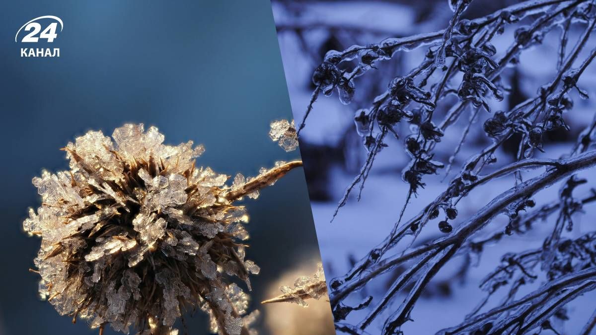Морозы усилятся сильнее - 24 Канал Морозы усилятся сильнее - 24 Канал