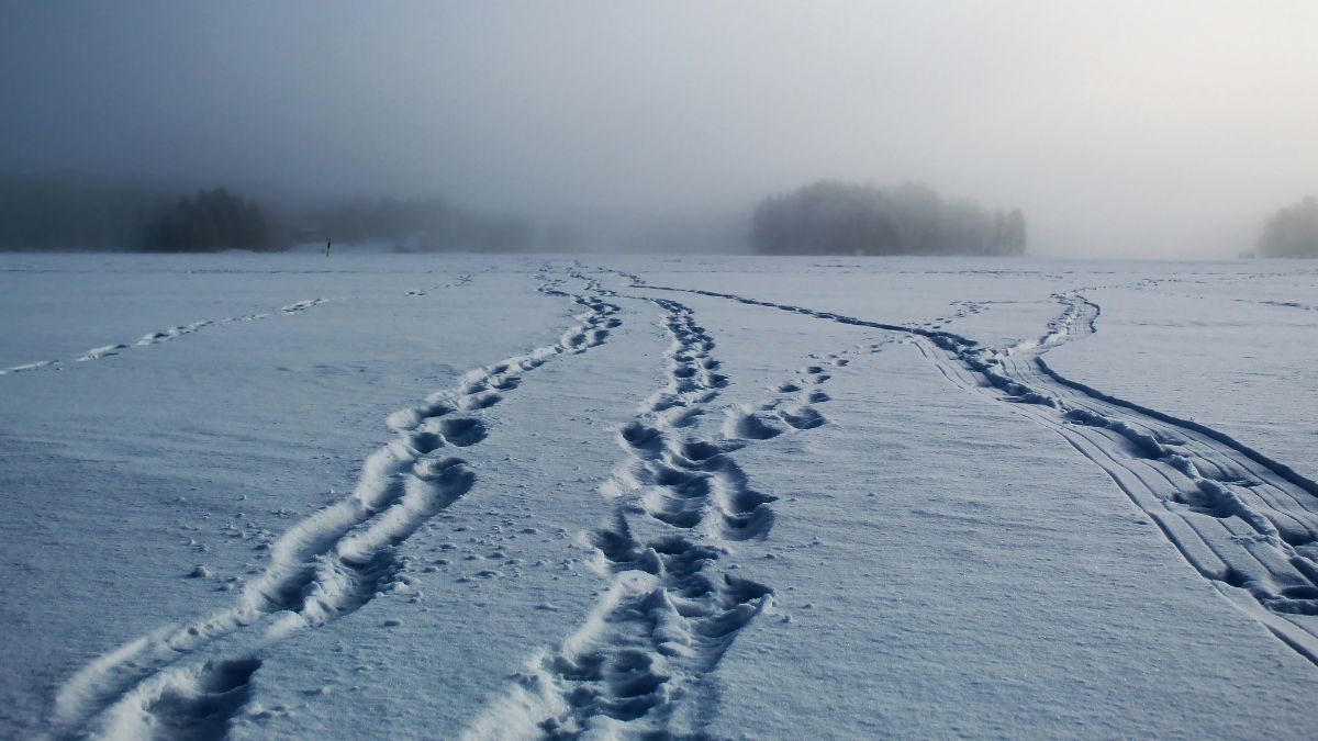 Незабаром в Україну може прийти потепління Незабаром в Україну може прийти потепління