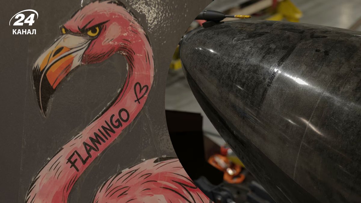 Що ще стало відомо про ракету "Фламінго" Що ще стало відомо про ракету "Фламінго"