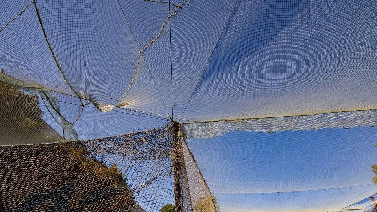 Вітер поруйнував опори антидронових сіток - 24 Канал