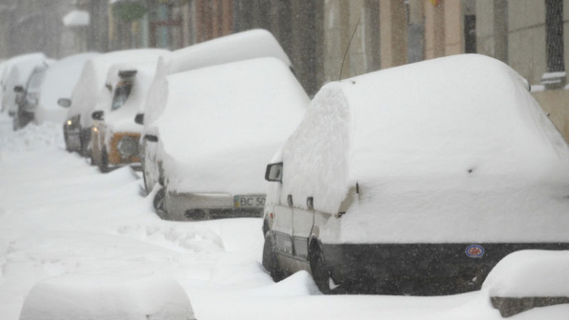 Сніг у Львові