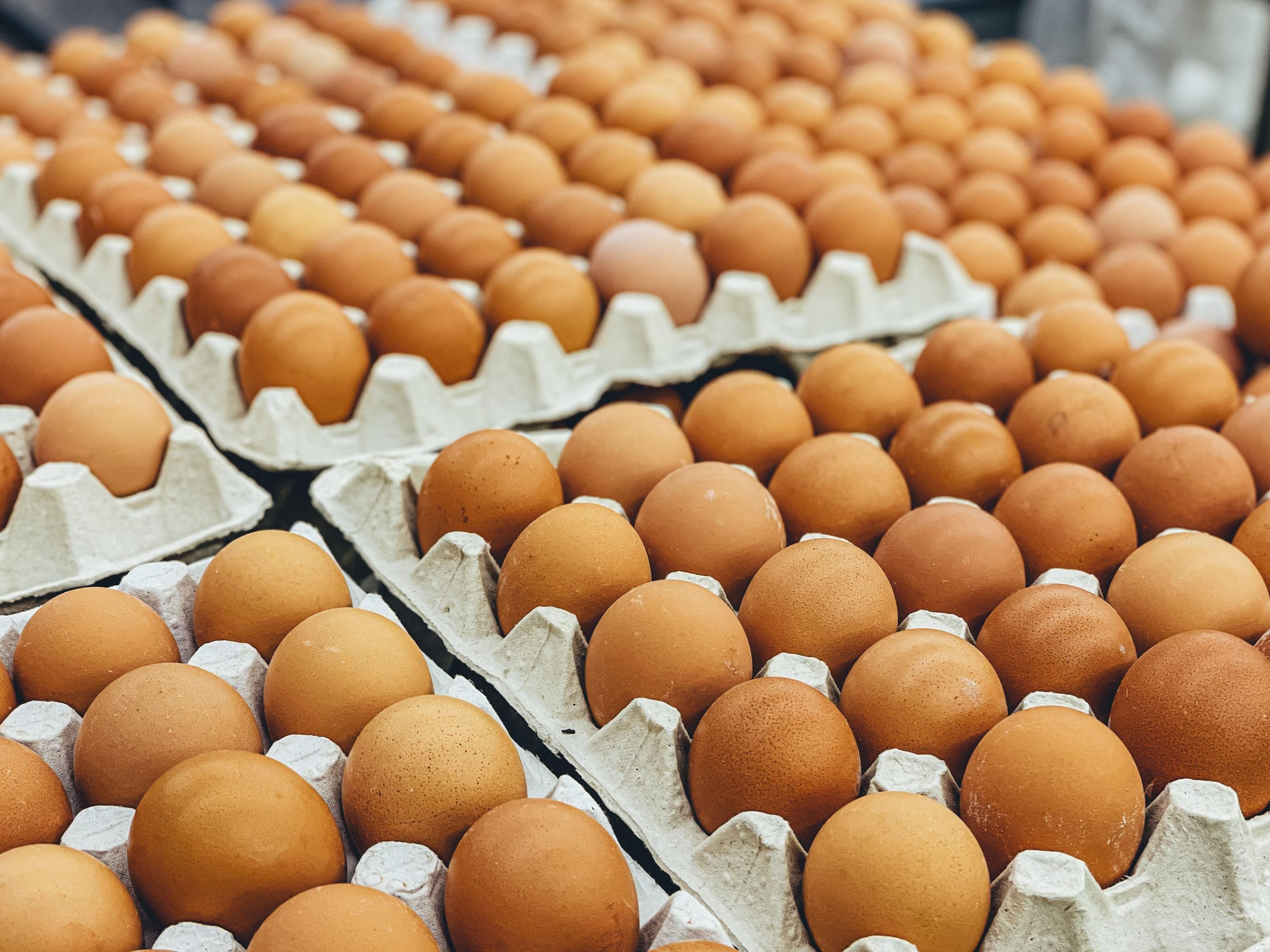 Ціни на яйця в Україні