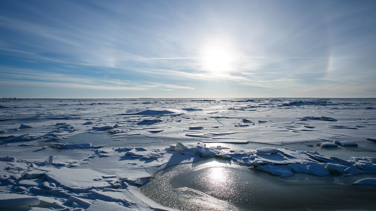 Южный полюс Антарктиды – почему его каждый год передвигают на новое место