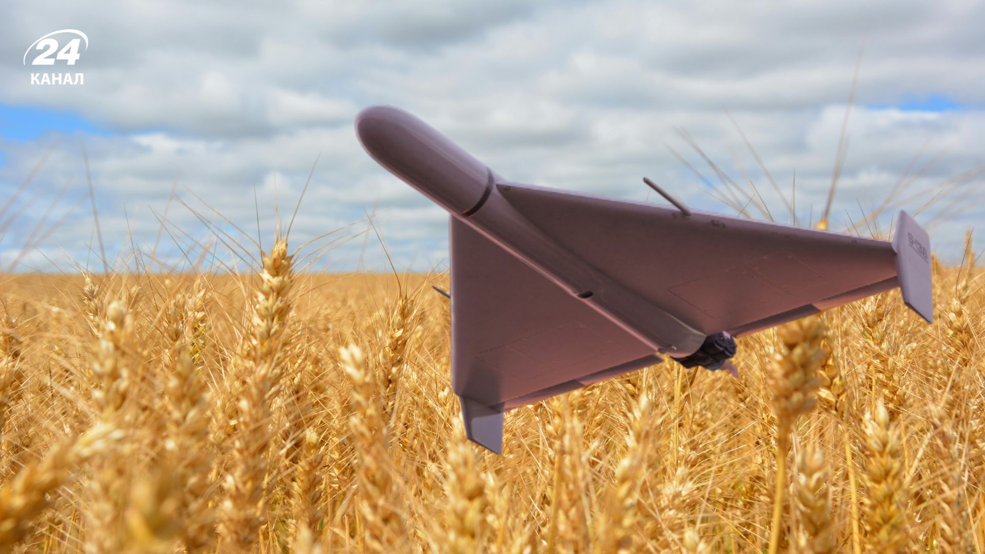 Что привело к падению экспорта украинского зерна