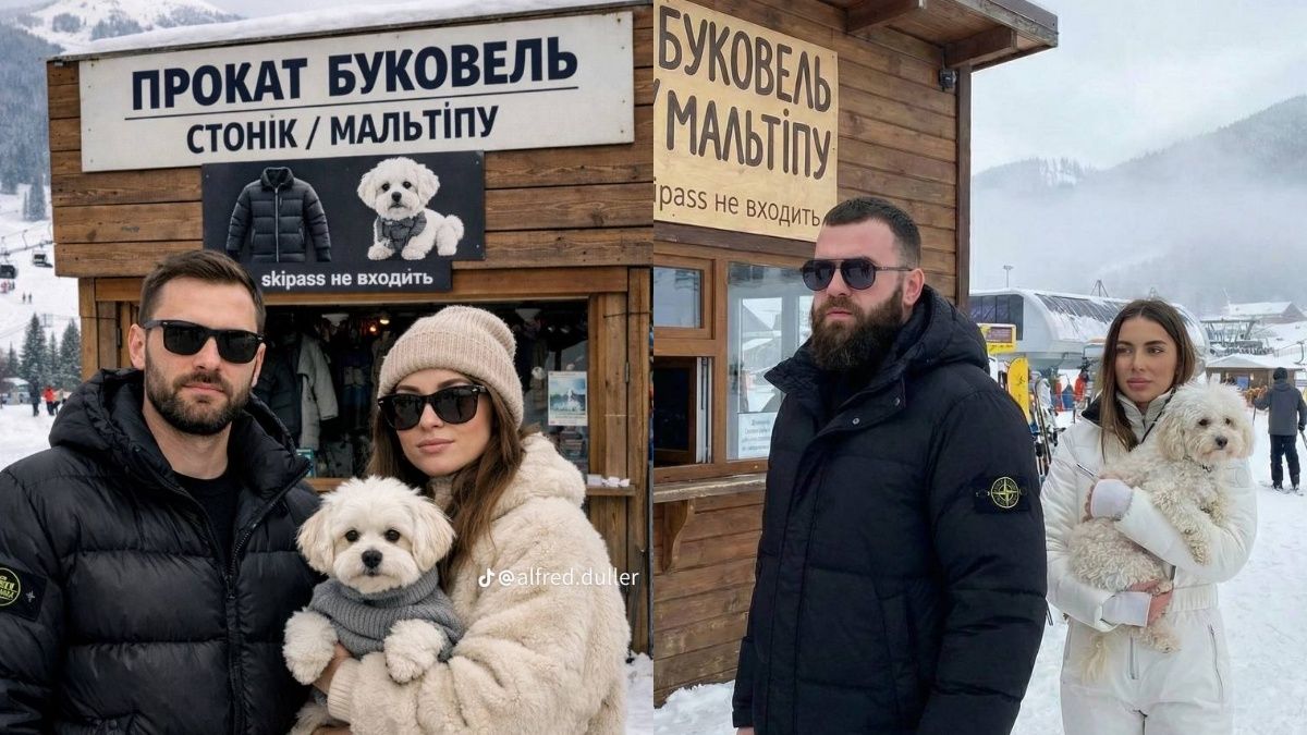 Мережу заполонили меми про мальтипу й речі "стонік" Мережу заполонили меми про мальтипу й речі "стонік"