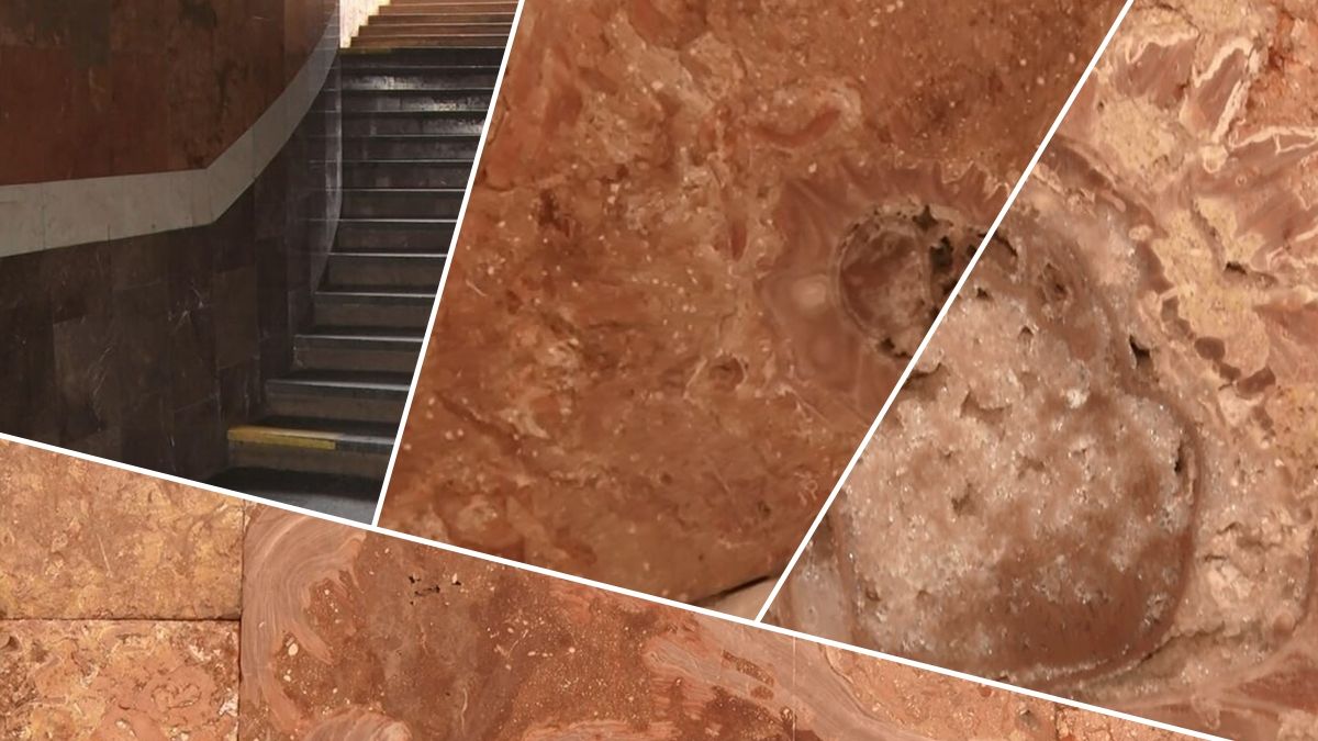 Морские ежи юрского периода найдены на станции метро в Кривом Роге