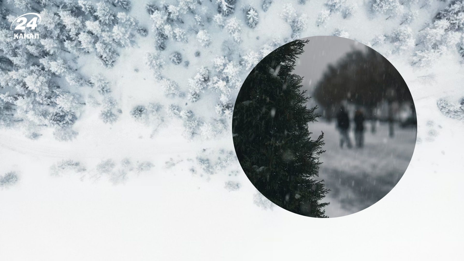 Мороз и снег не отступают: прогноз погоды на 14 января - 24 Канал Мороз и снег не отступают: прогноз погоды на 14 января - 24 Канал