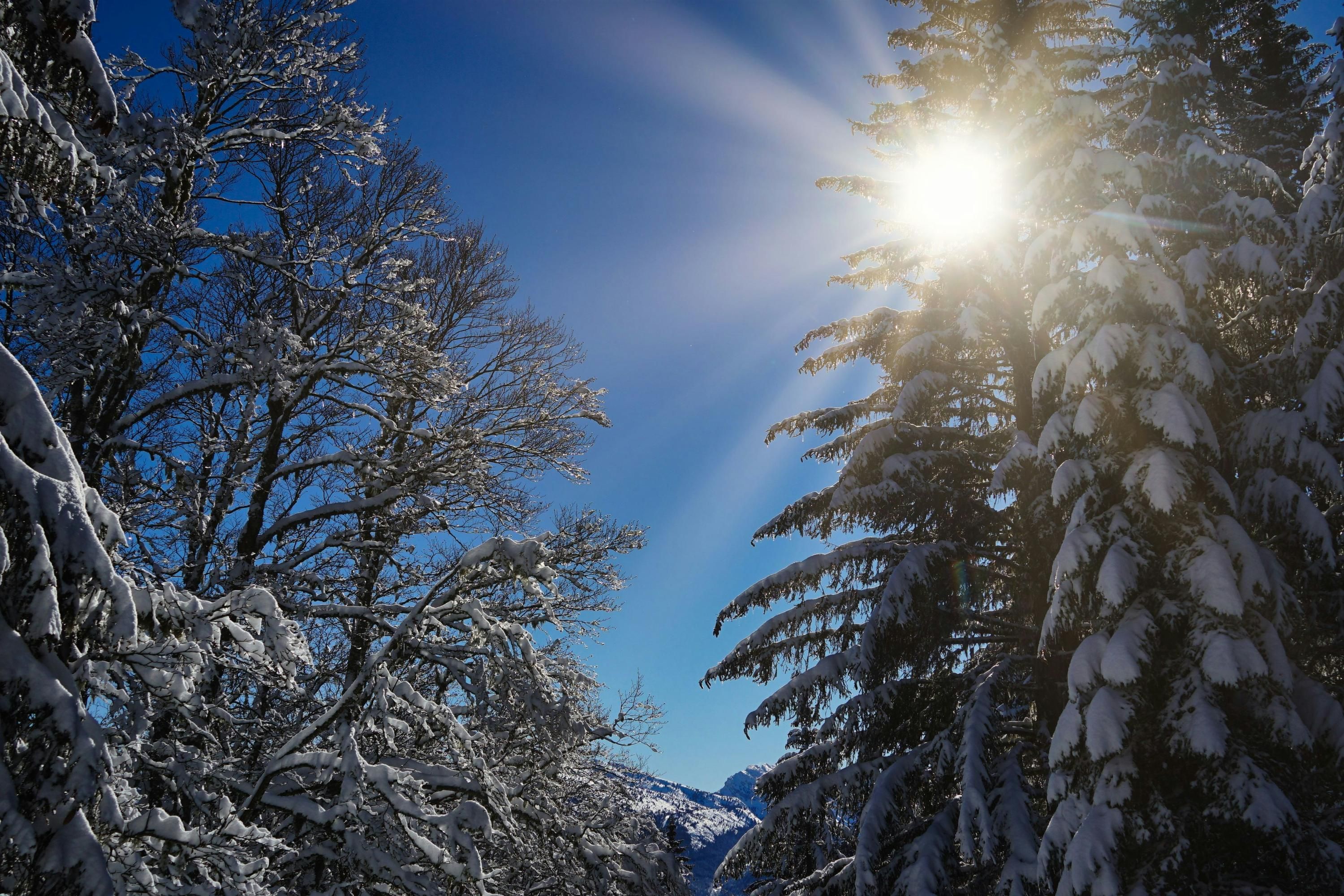 Морозы надвигаются на Украину - 24 Канал Морозы надвигаются на Украину - 24 Канал