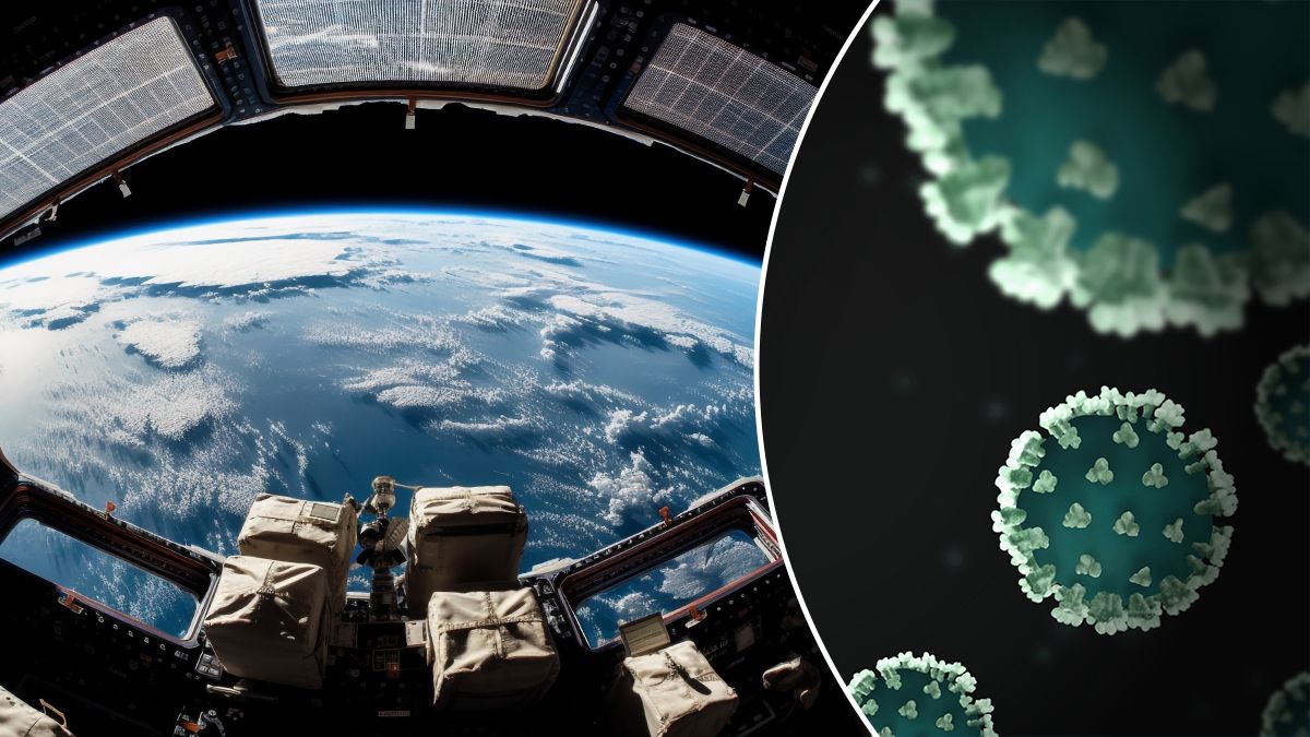 Мутации вирусов в космосе помогут бороться с инфекциями на Земле Мутации вирусов в космосе помогут бороться с инфекциями на Земле