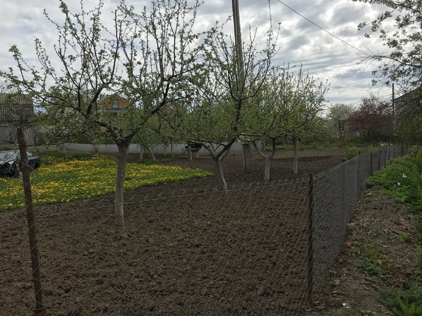 Какое расстояние от дерева до забора Какое расстояние от дерева до забора