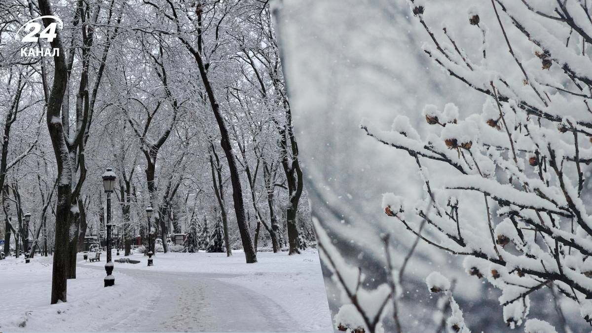 Морози та сніг в Україні - 24 Канал