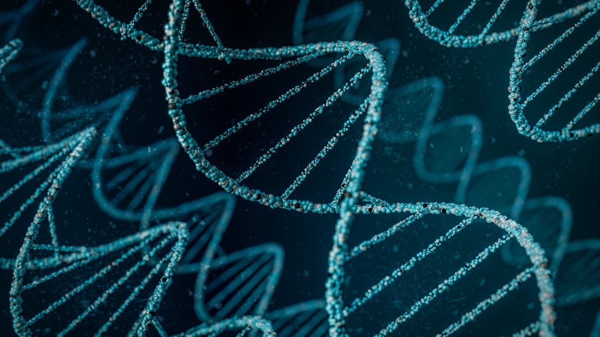 Новый закон биологии ограничивает эволюцию всех живых организмов на Земле Новый закон биологии ограничивает эволюцию всех живых организмов на Земле