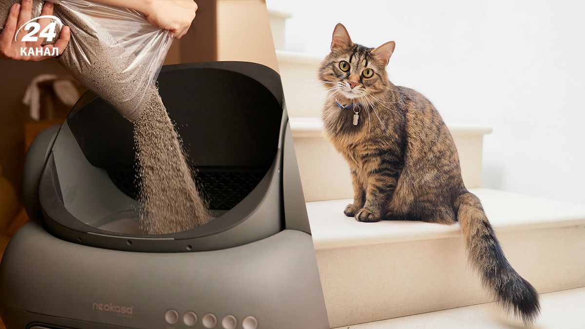 Наполнитель для кошачьего туалета - какой наполнитель нельзя смывать в унитаз Наполнитель для кошачьего туалета - какой наполнитель нельзя смывать в унитаз