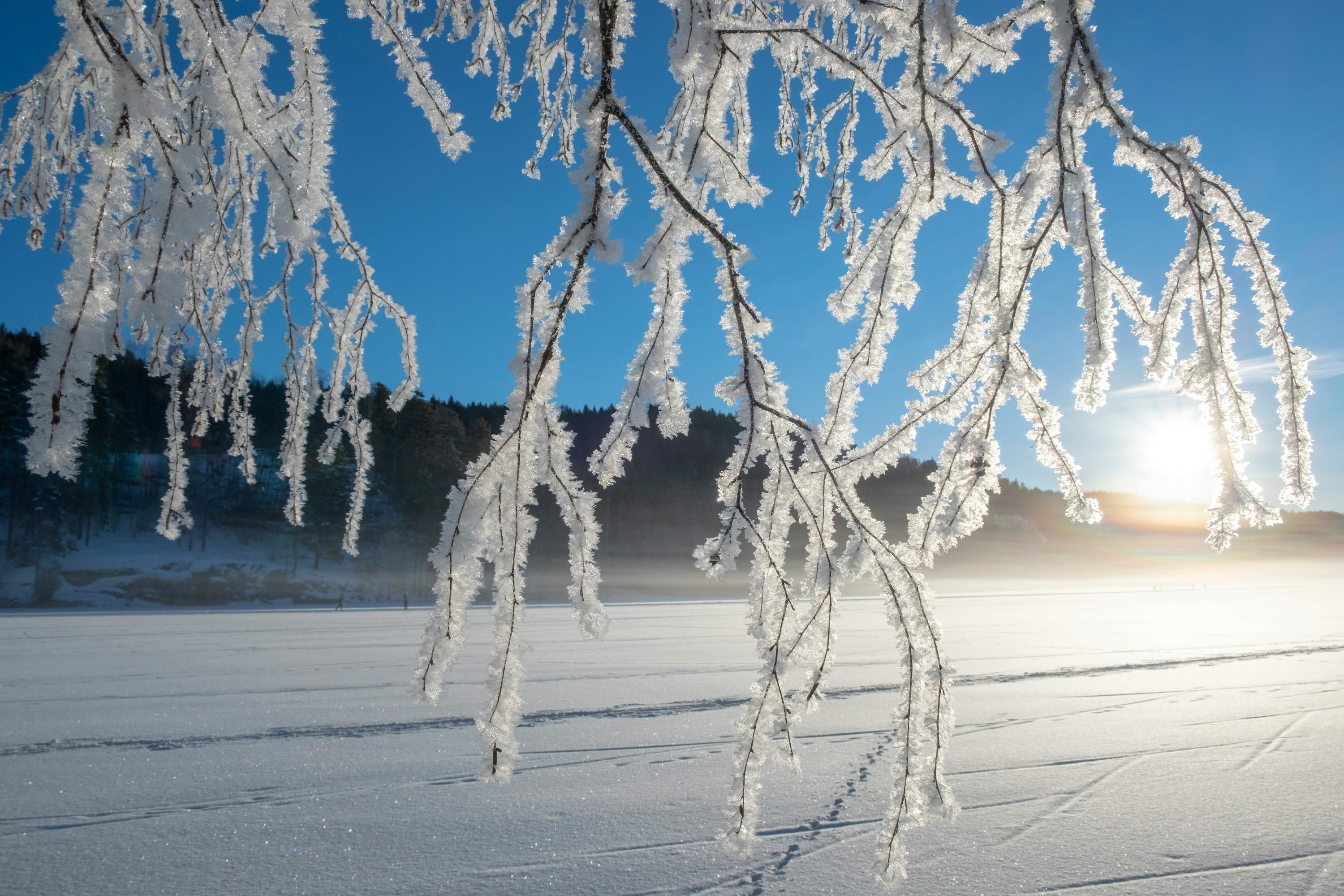 Потепління в Україні поки не буде - 24 Канал Потепління в Україні поки не буде - 24 Канал