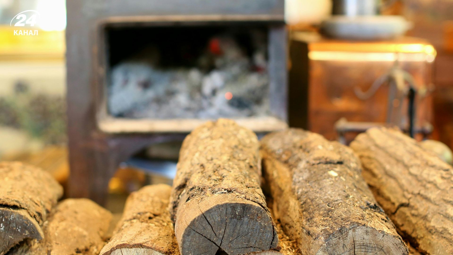 Названы три породы деревьев, которые долго горят и лучше всего обогревают дом - Дом Названы три породы деревьев, которые долго горят и лучше всего обогревают дом - Дом