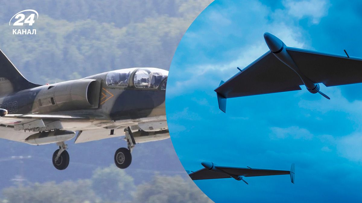 Чехия может передать Украине самолеты L-159 - чем они усилят ПВО