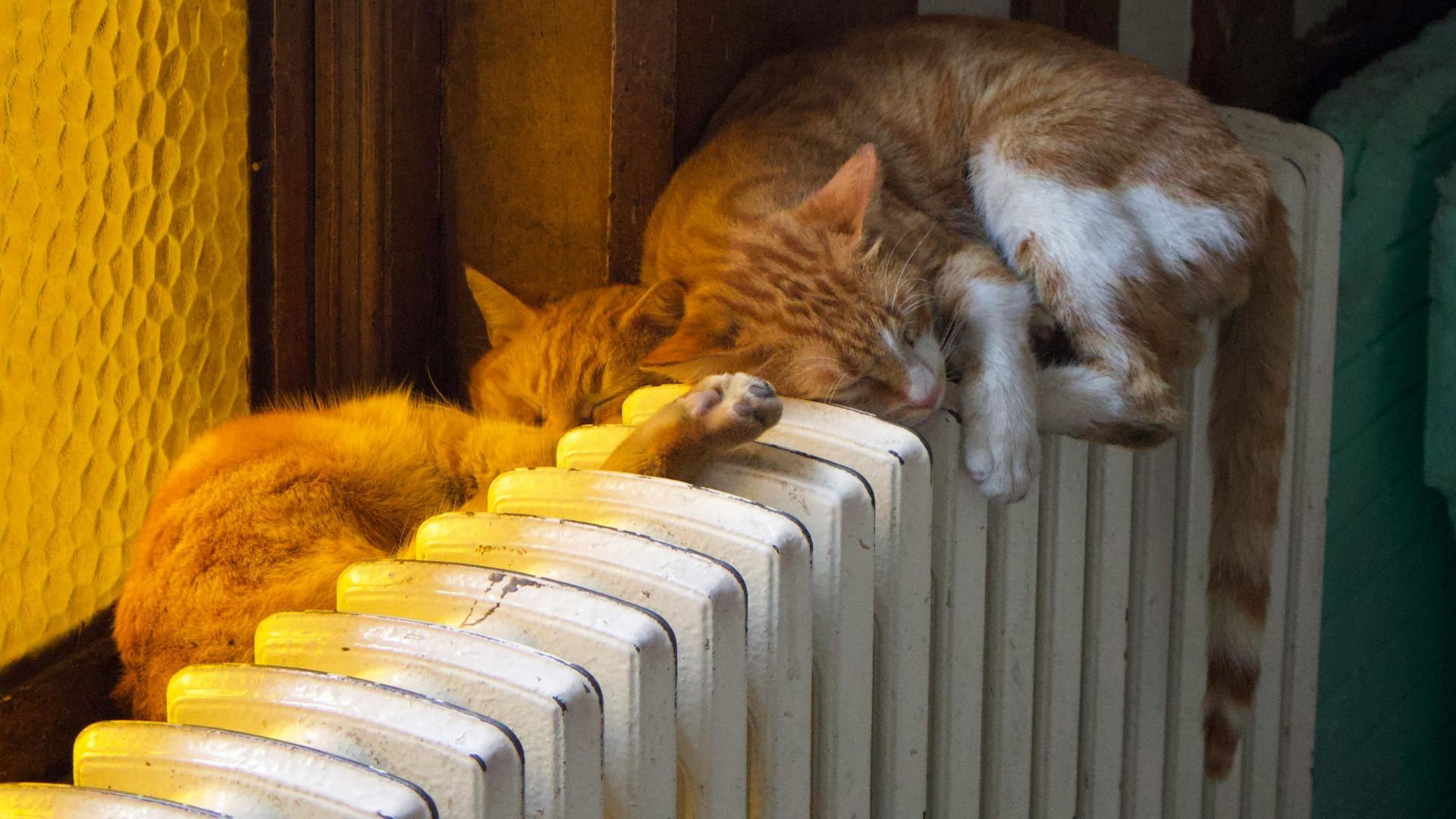 Почему в Киеве в некоторых домах не восстанавливают отопление в некоторых домах Почему в Киеве в некоторых домах не восстанавливают отопление в некоторых домах