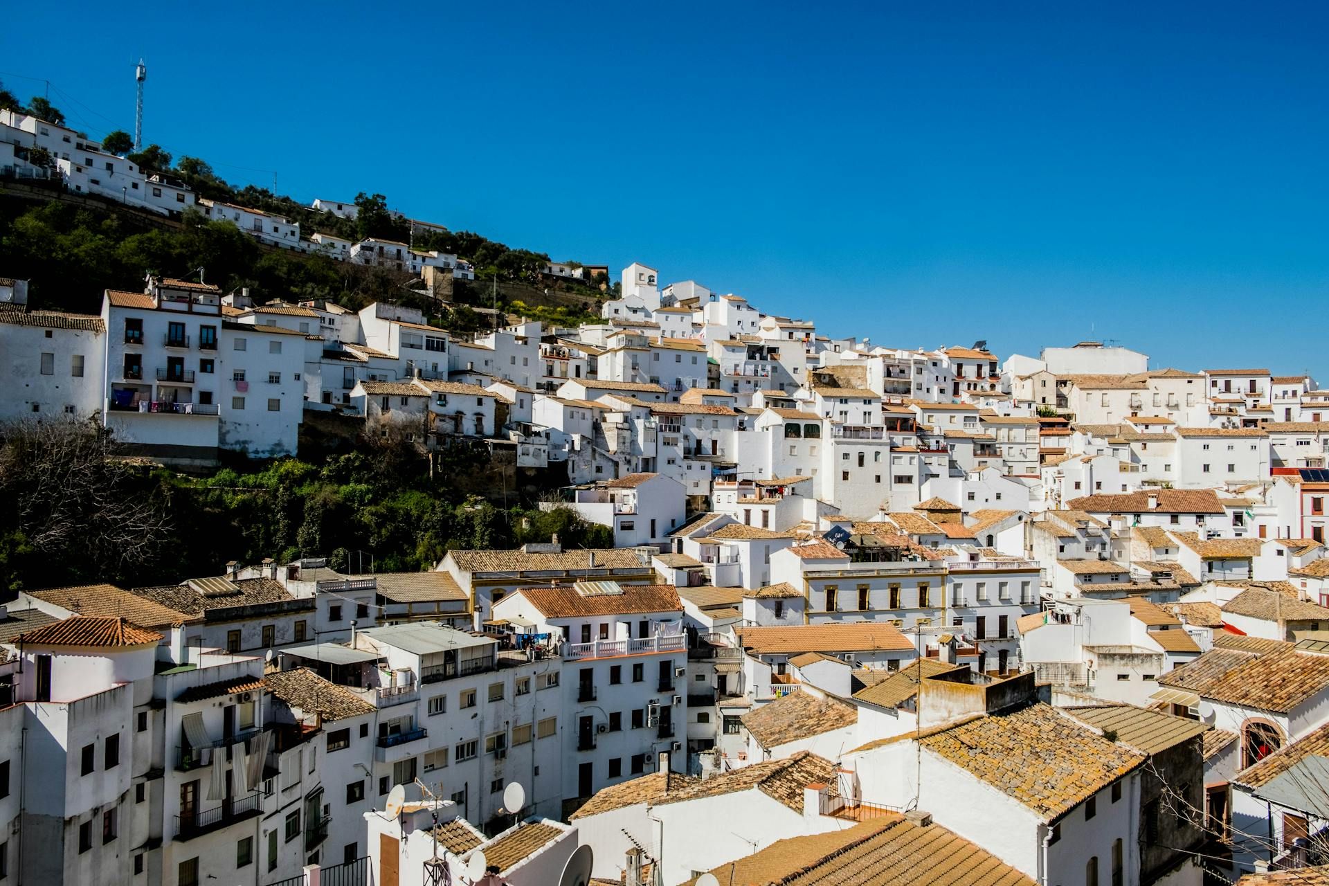 Украинка рассказала о преимуществах Германии Украинка рассказала о преимуществах Германии