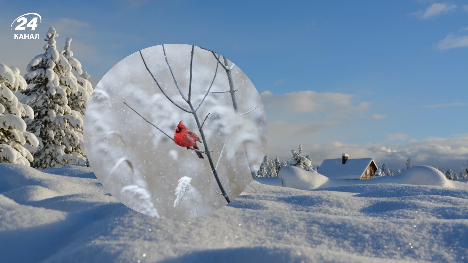 Погода 20 января - 24 Канал Погода 20 января - 24 Канал