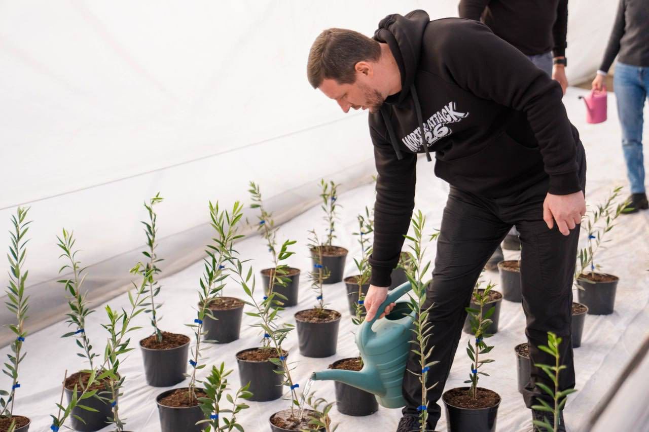 Саженцы готовят к высаживанию