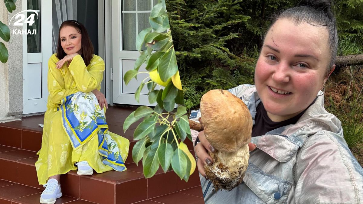 Тіна Кароль, Степан Гіга