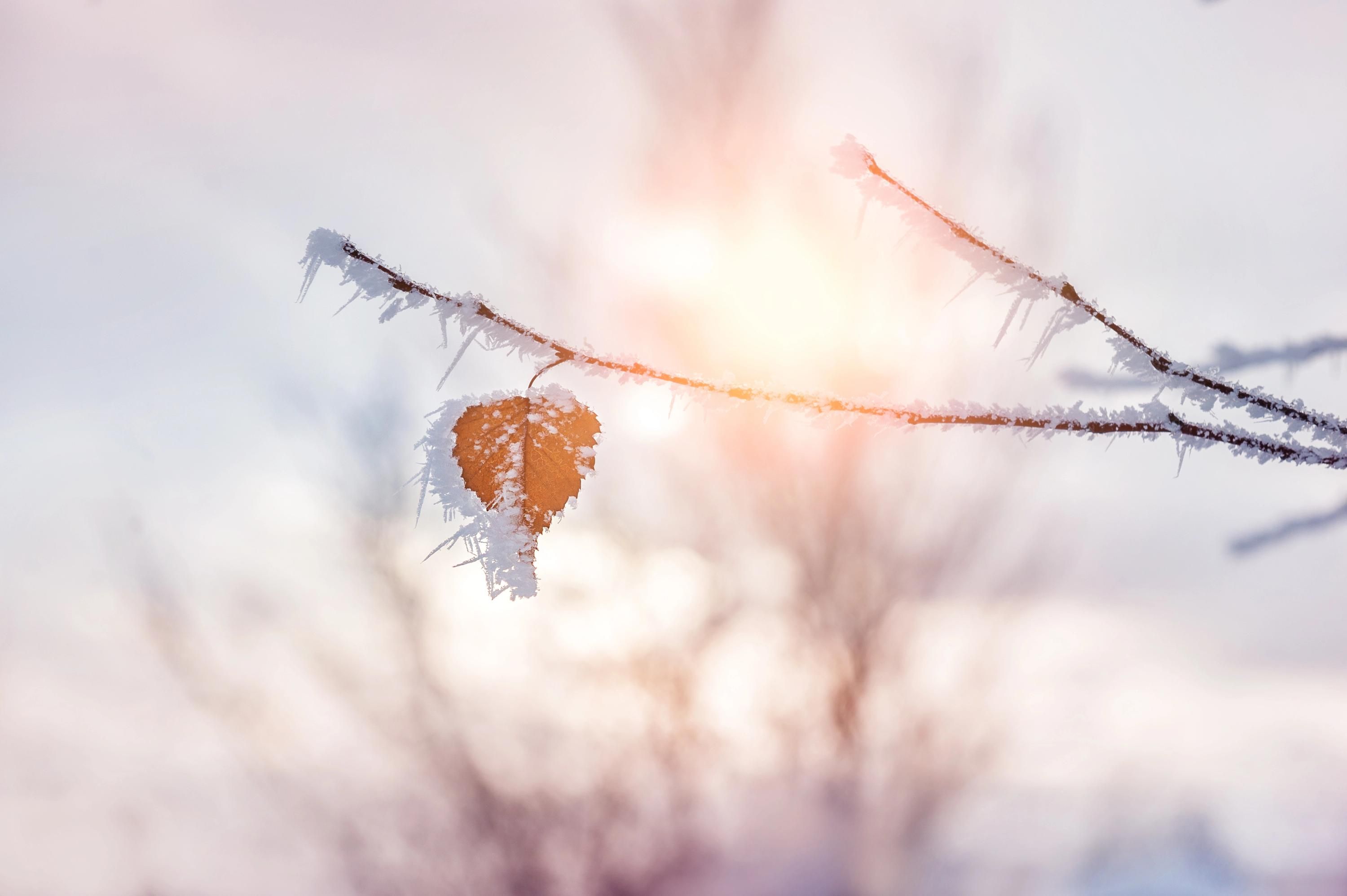 Погода на 22 января 2026 года