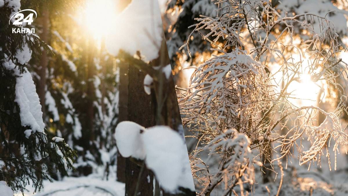 Аномальні морози відійдуть з території України - 24 Канал Аномальні морози відійдуть з території України - 24 Канал