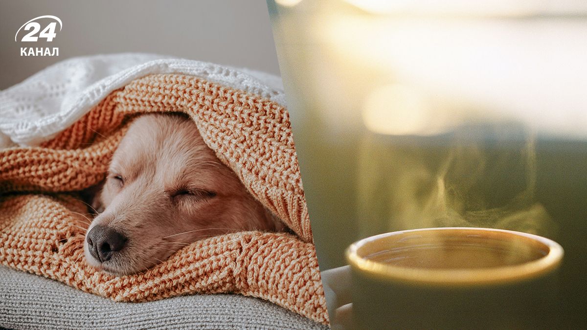 Життя під час блекаутів - як вижити у багатоповерхівці без світла і тепла
