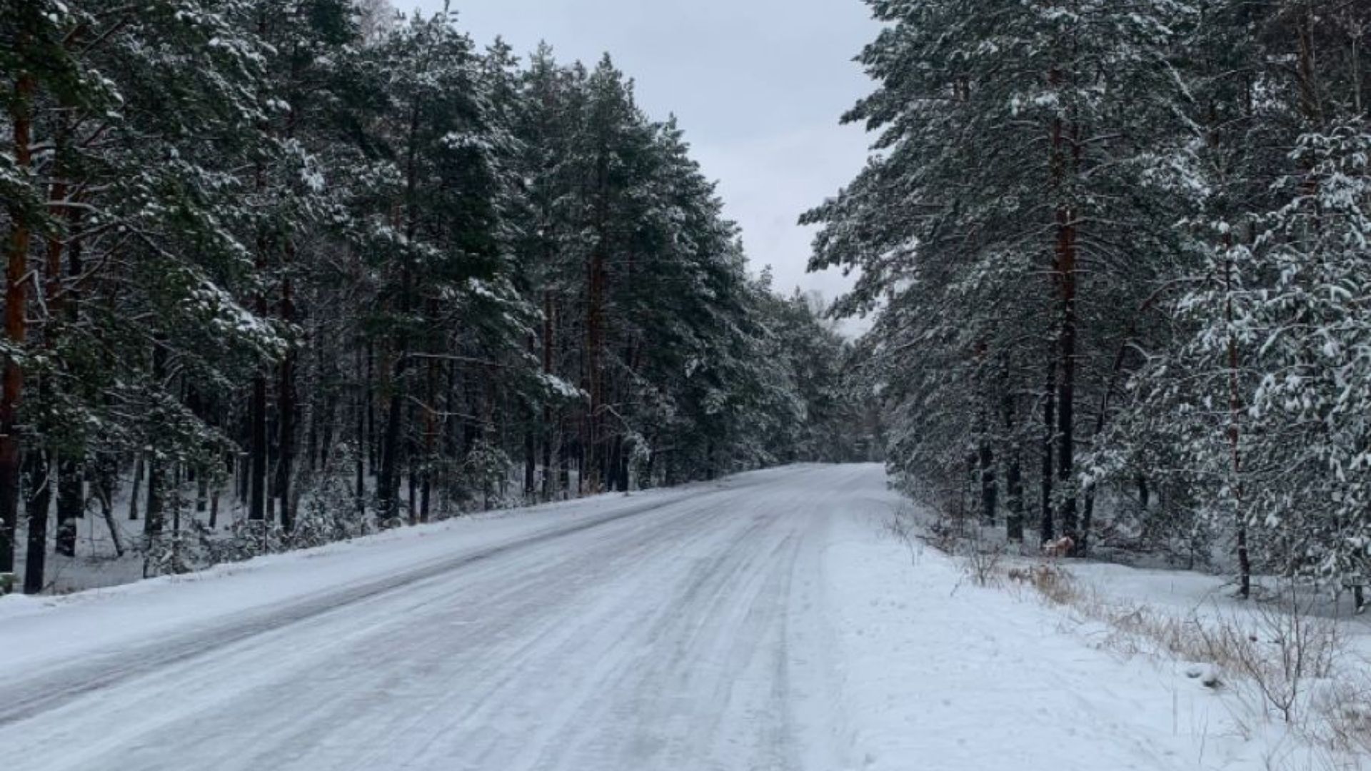 Прогноз погоды в Украине 24 января Прогноз погоды в Украине 24 января