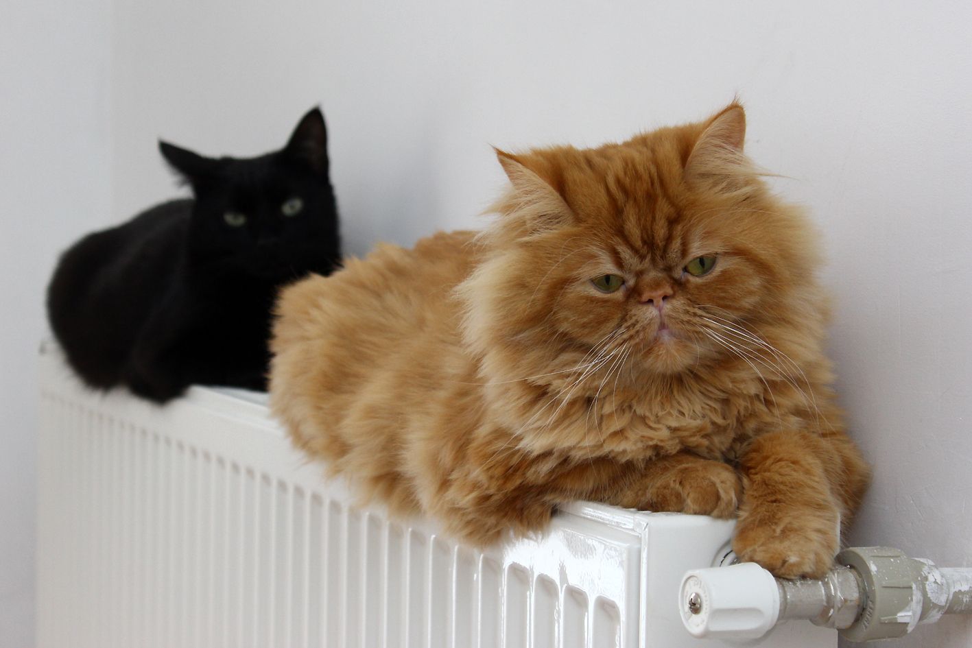 Отопление в Киеве