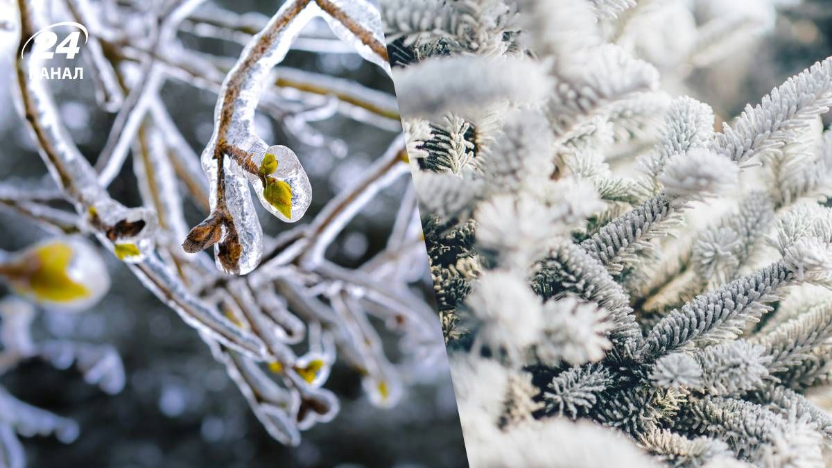 Прогноз погоды на 25 января 2026 года - 24 Канал Прогноз погоды на 25 января 2026 года - 24 Канал