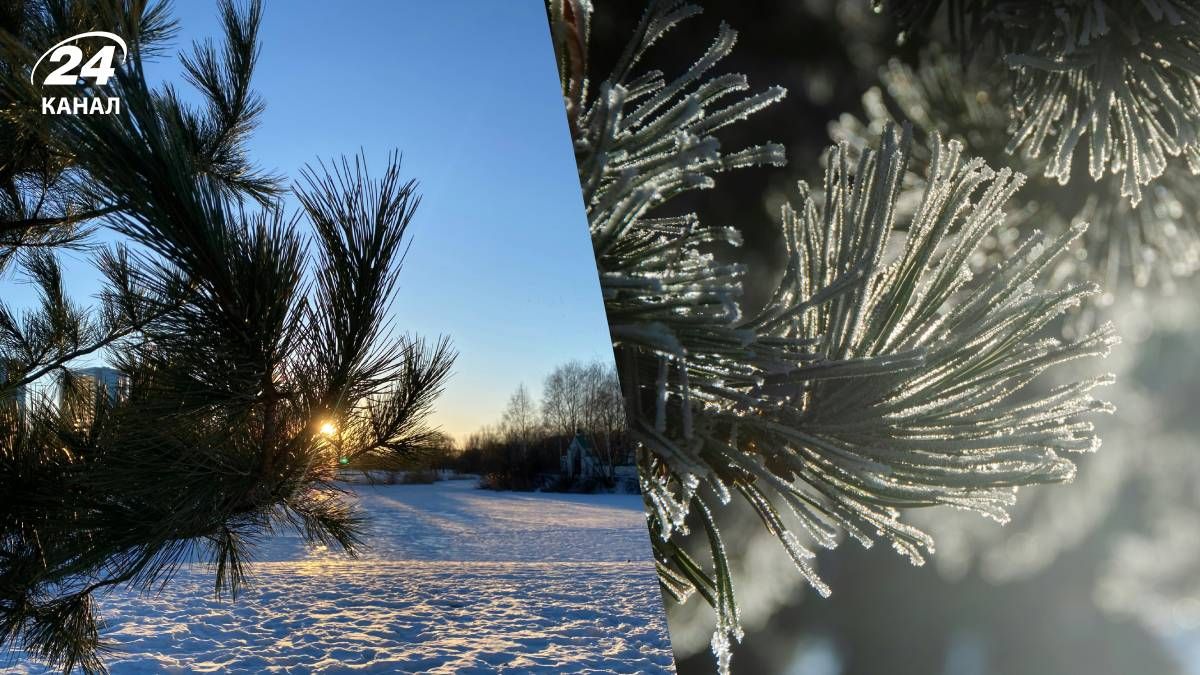 В Україні потеплішає на кілька градусів - 24 Канал