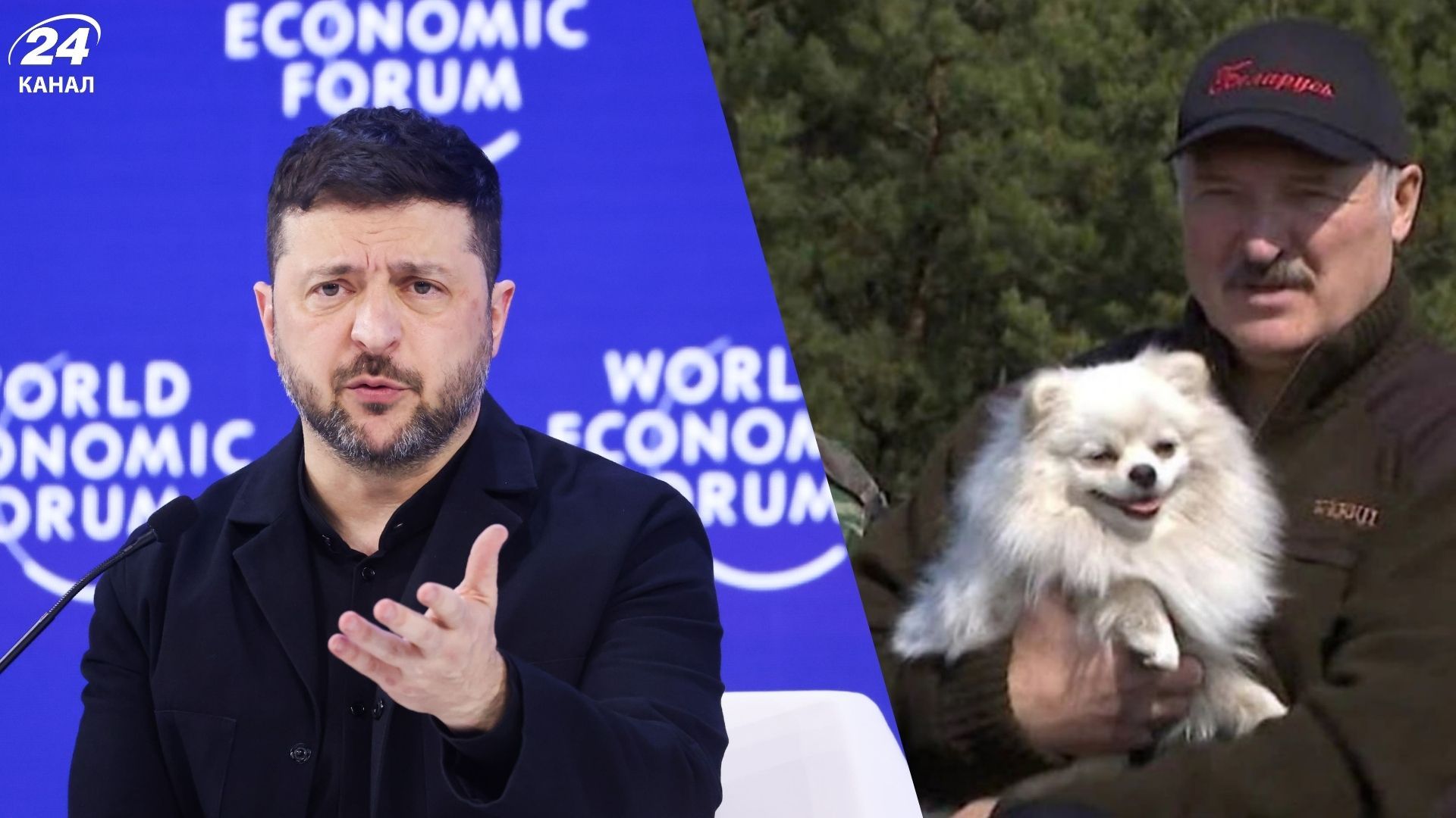 Белому шпицу Лукашенко оставлено больше прав, чем народу Беларуси, –Зеленский - 24 Канал