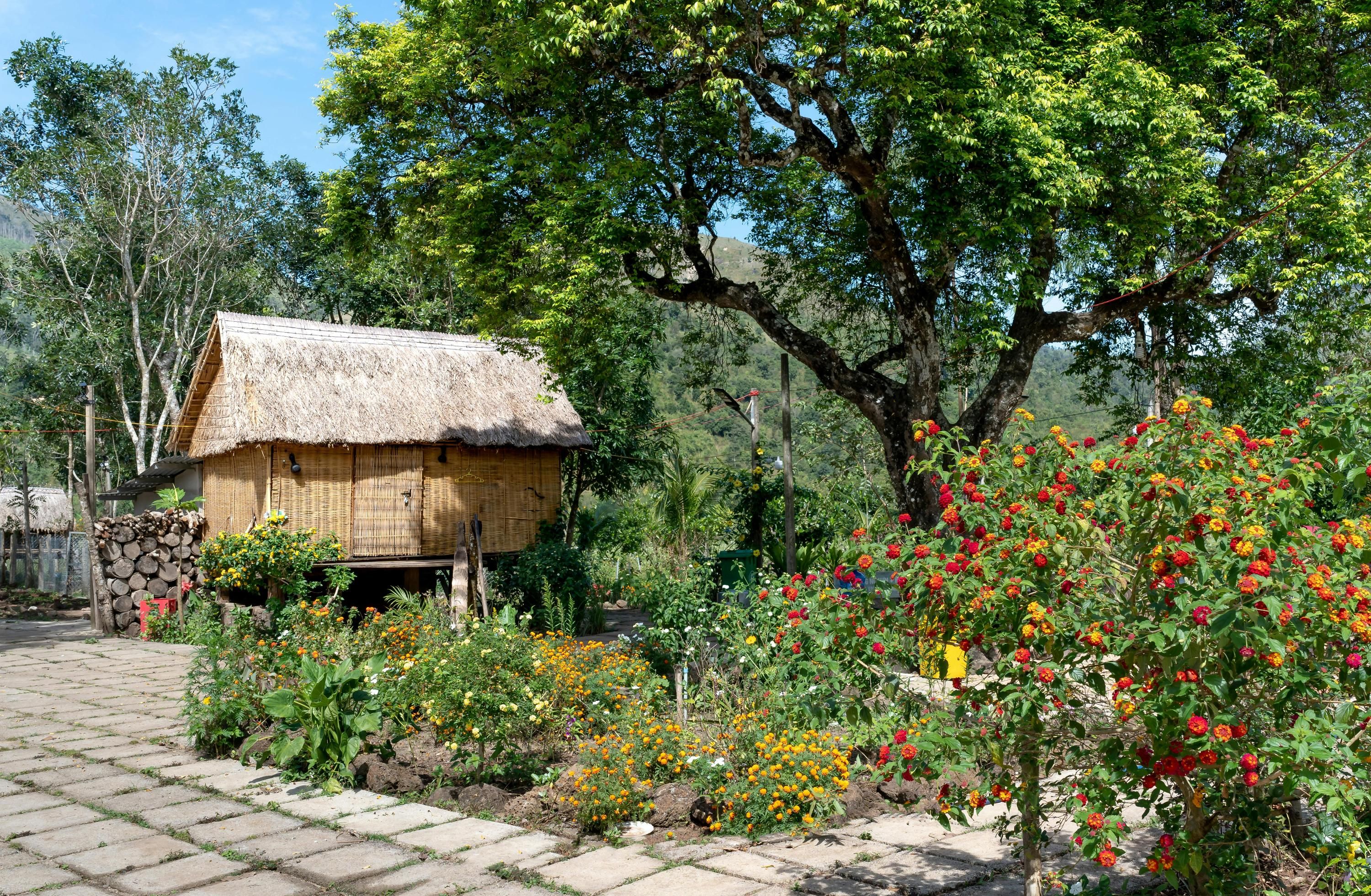 Чи можна висадити дерева біля паркану