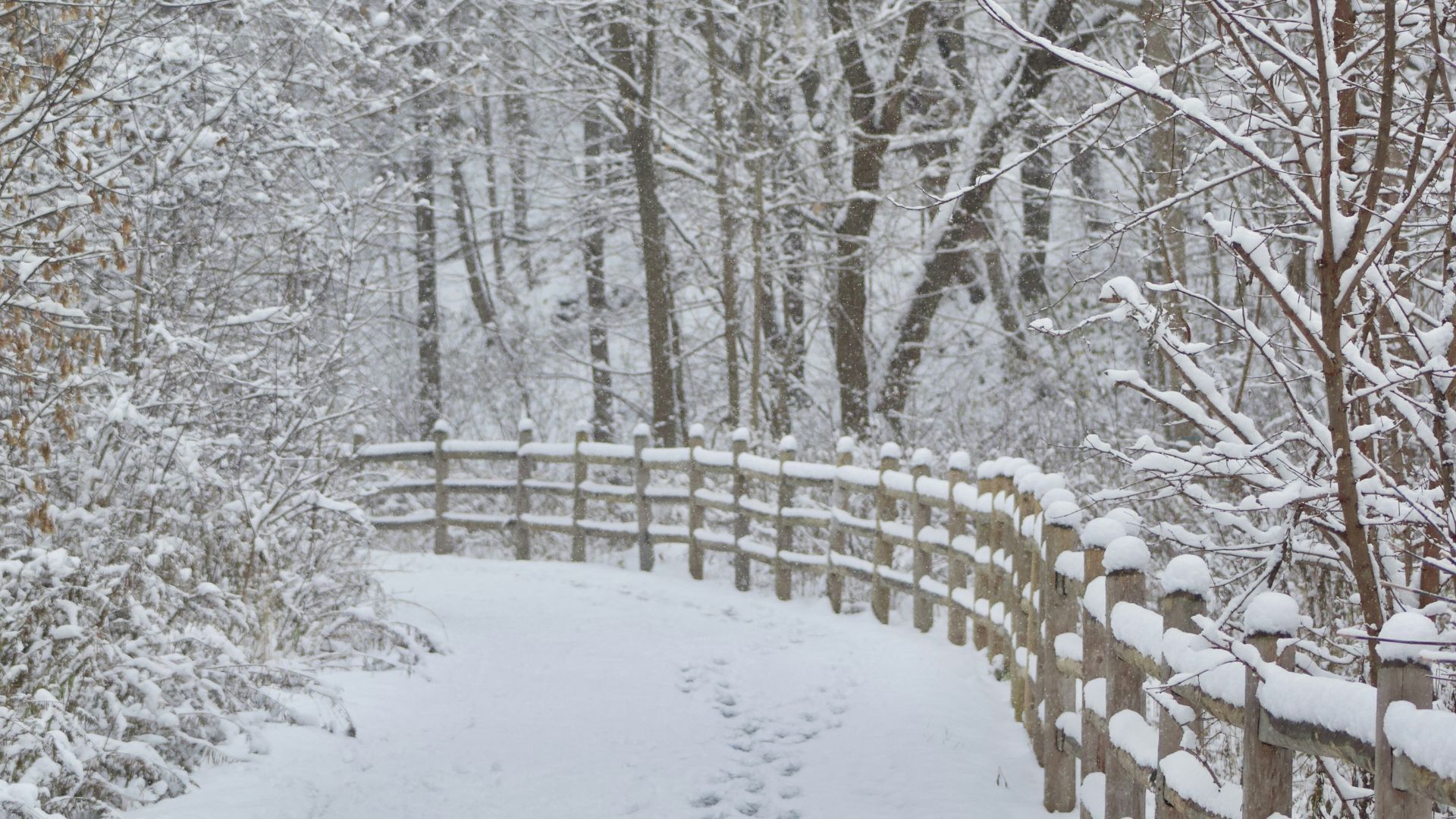 Чоловік загинув від переохолодження в Польщі