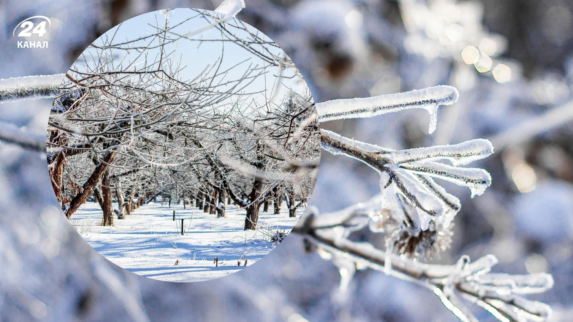 Сильний вітер і ожеледиця супроводжуватимуть українців у понеділок Сильний вітер і ожеледиця супроводжуватимуть українців у понеділок
