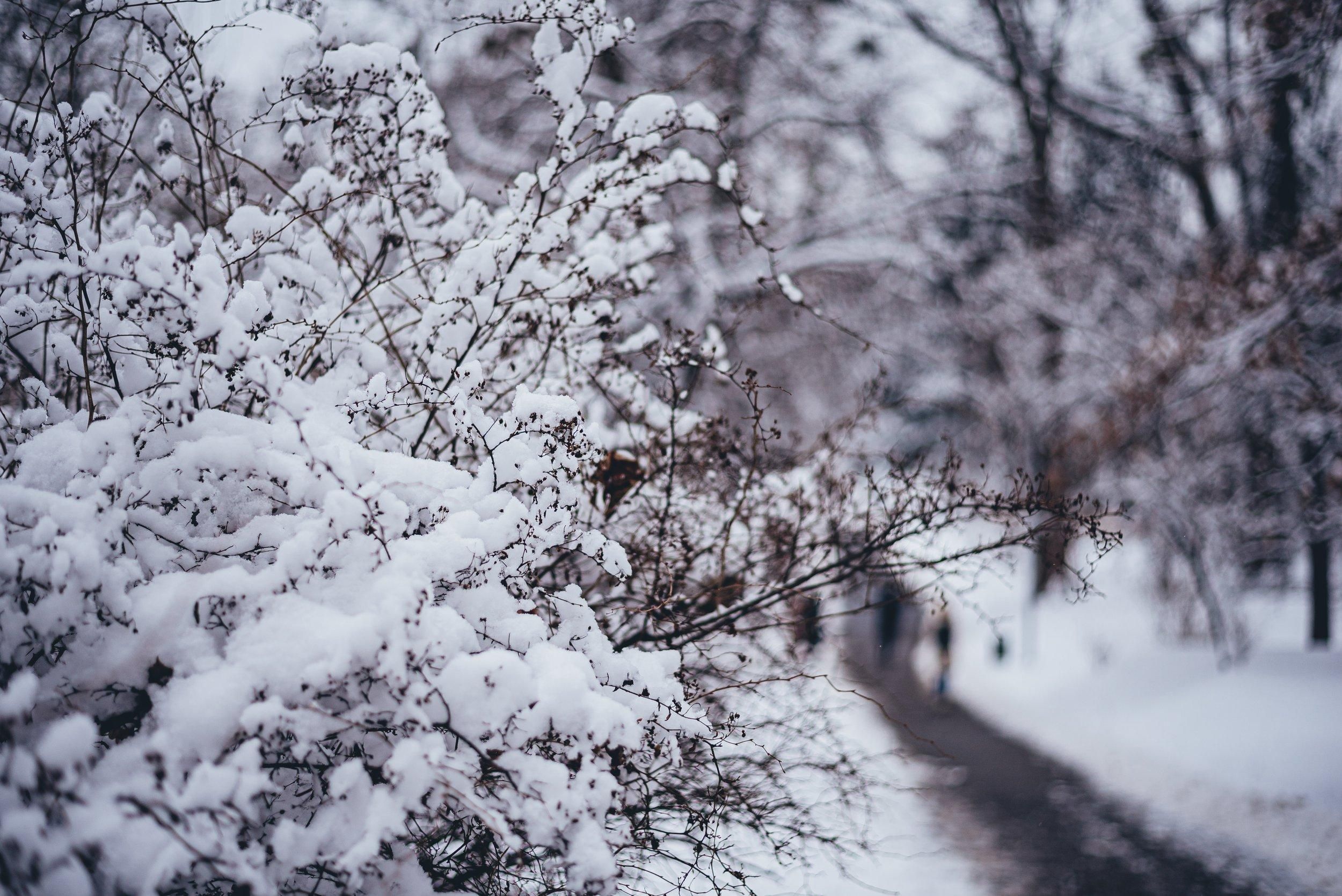 Экстремальные морозы в США Экстремальные морозы в США