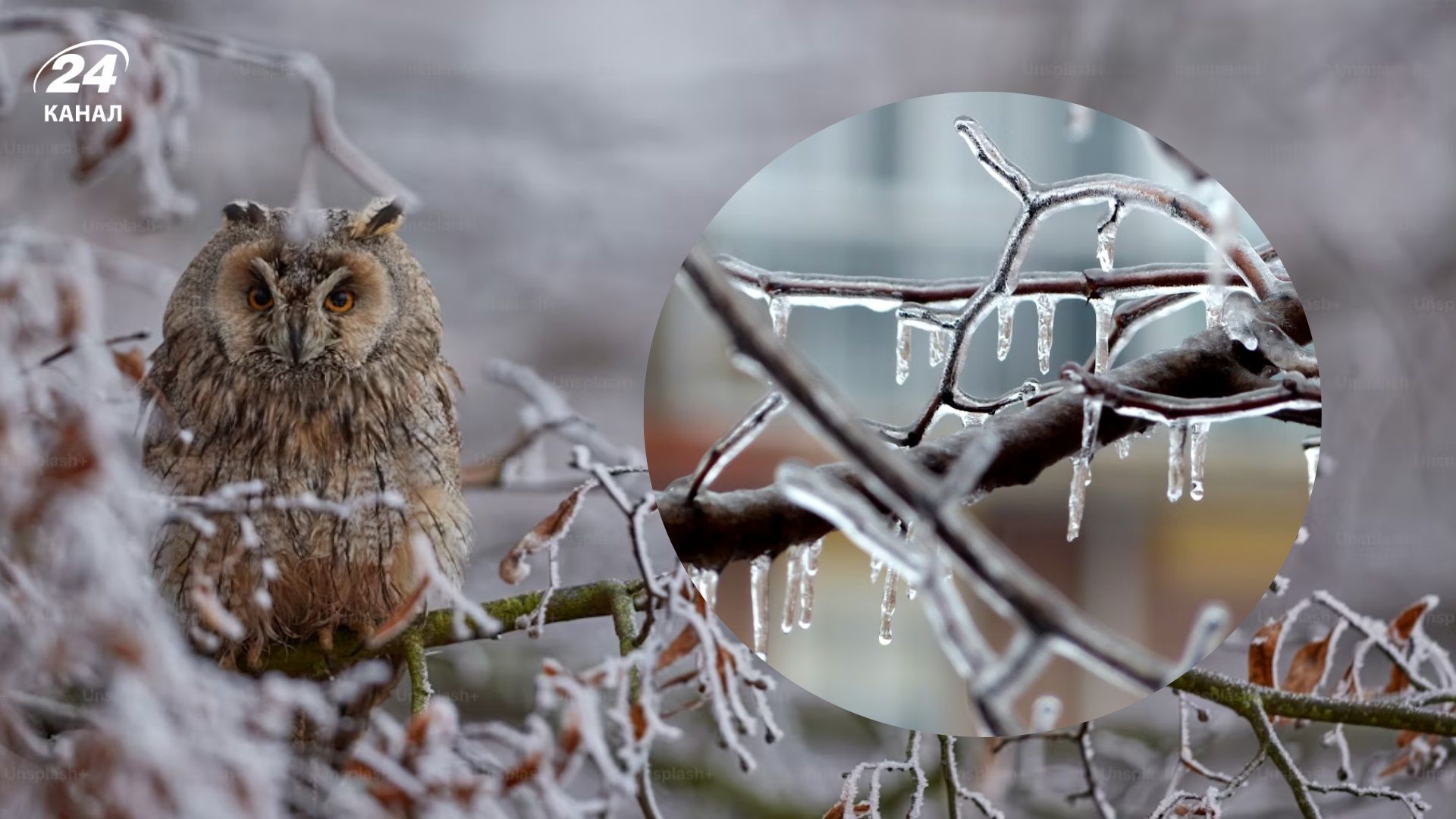 Погода на 27 января - 24 Канал Погода на 27 января - 24 Канал