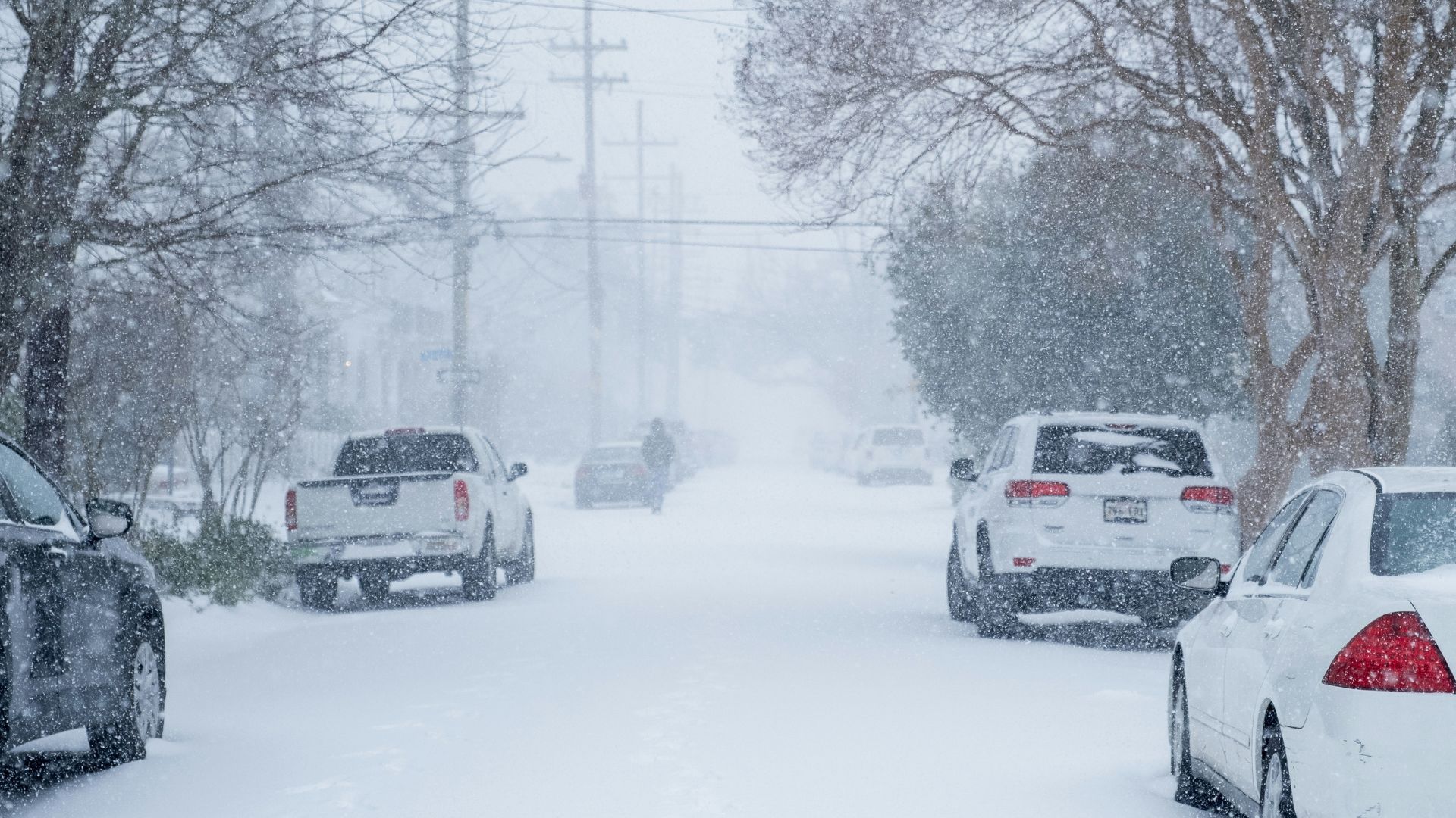 У Львівській області штормове попередження на 3 дні У Львівській області штормове попередження на 3 дні