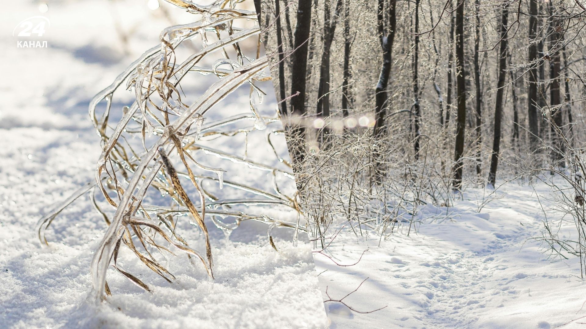 На Украину надвигается непогода На Украину надвигается непогода