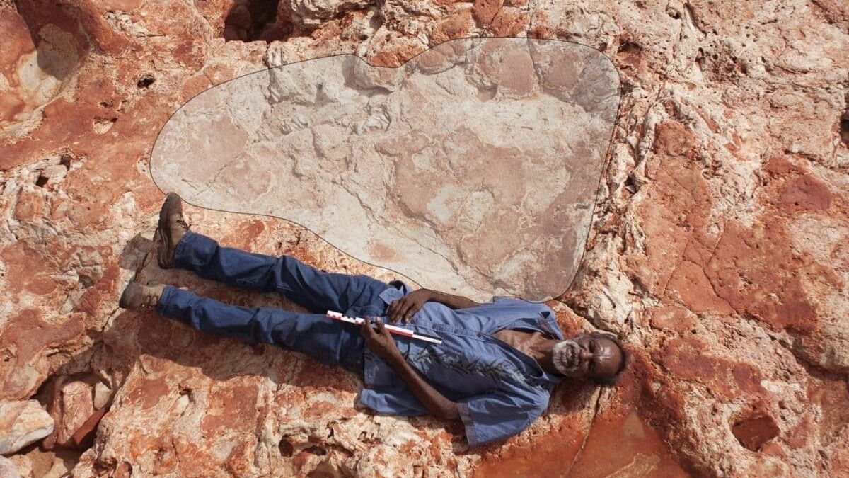 Найбільші сліди динозаврів у світі знайшли на узбережжі Австралії