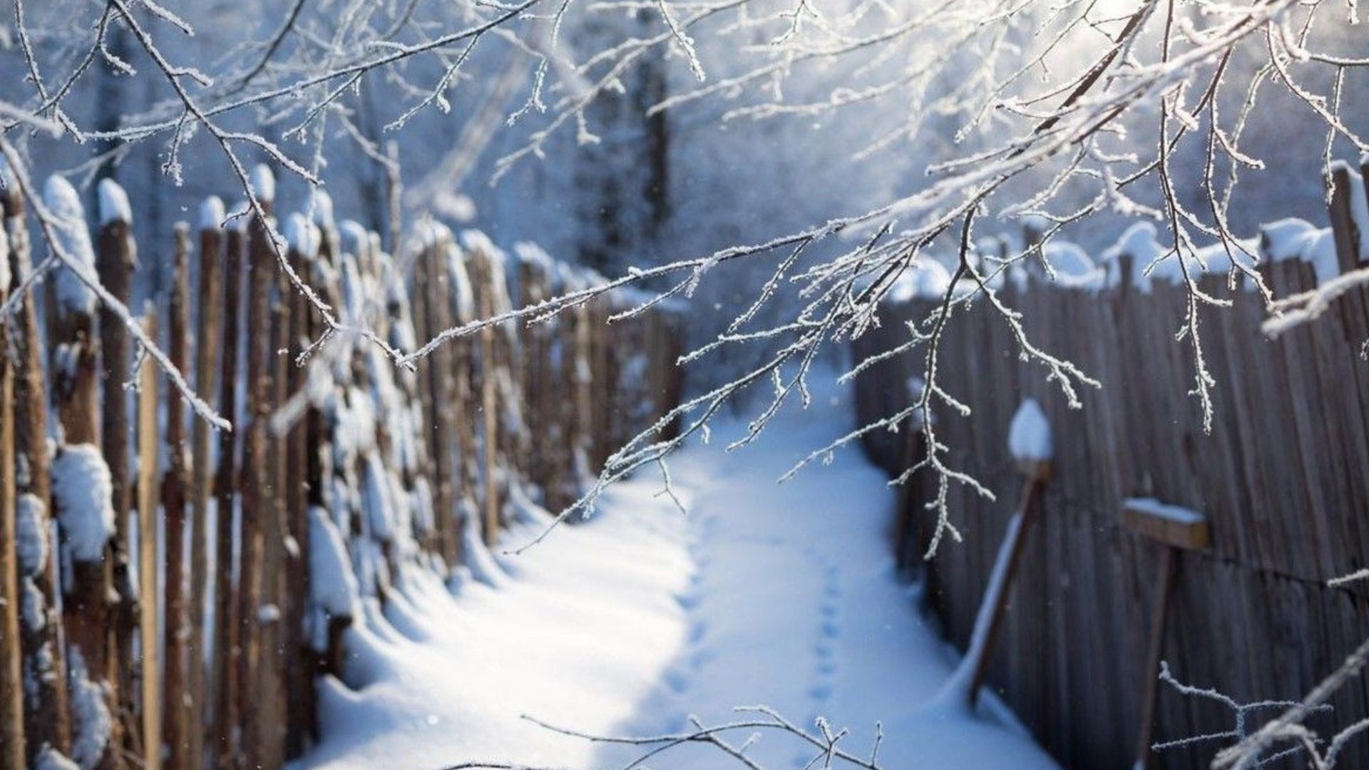 Мороз в Украине прогнозируют в феврале