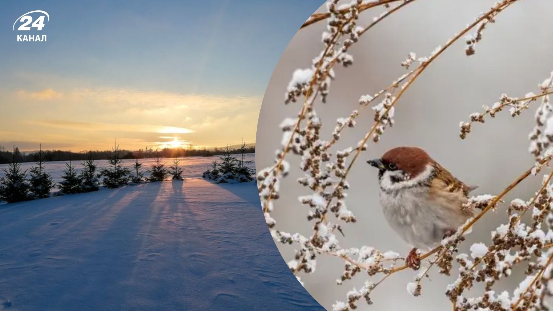 Прогноз погоды в Украине на февраль