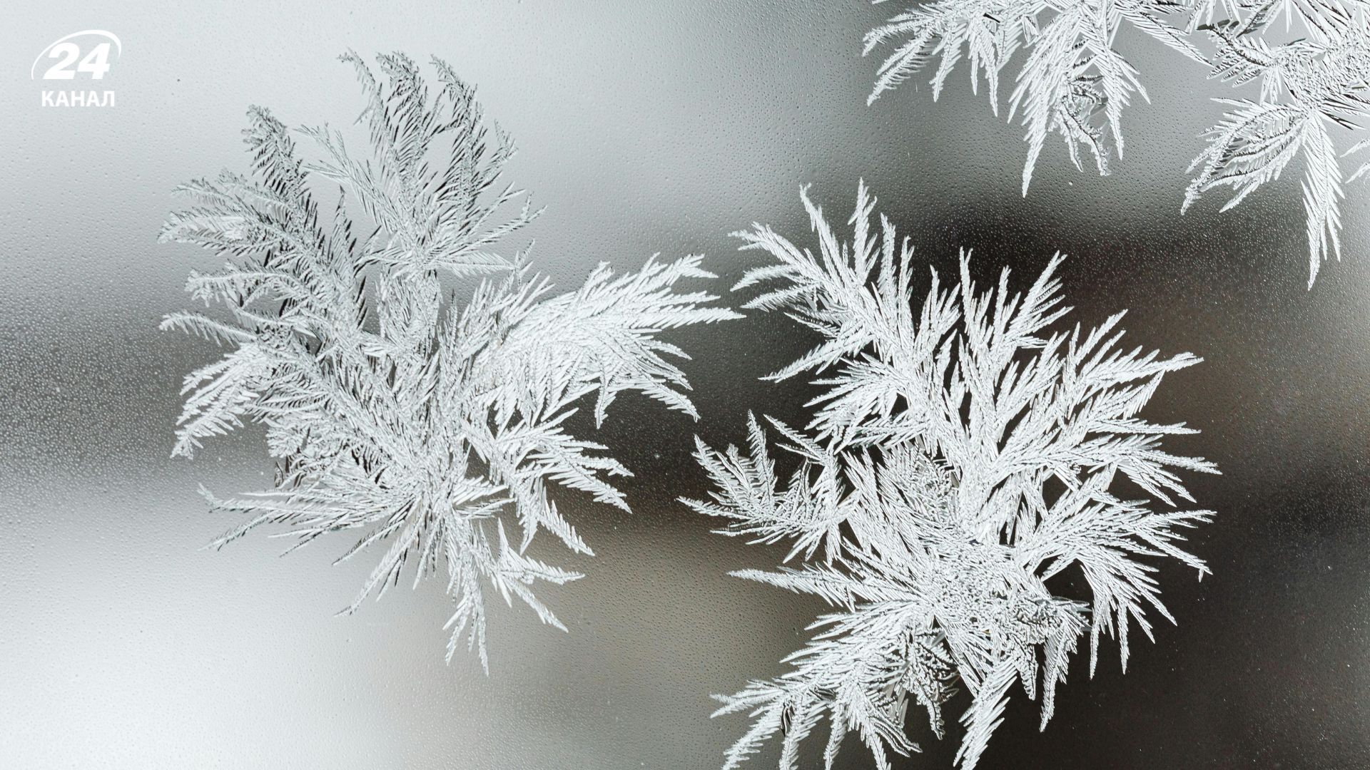 Перші дні лютого стануть для Києва непростим випробуванням Перші дні лютого стануть для Києва непростим випробуванням