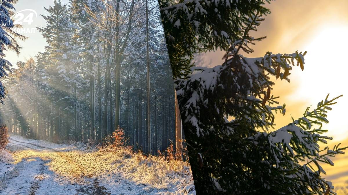 Резкого потепления в ближайшие дни не будет - 24 Канал